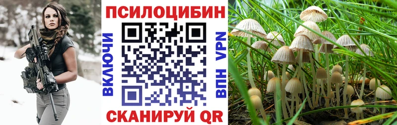 Псилоцибиновые грибы Psilocybine cubensis  Купить закладки  Лобня 